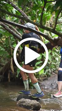 BIB:  <button type="button" onclick="openModal(27561513)" class="btn btn-primary btn-sm float-right" data-toggle="modal" data-target=".modal-high-quality">
                <i class="fa fa-download"></i> Download
                </button>